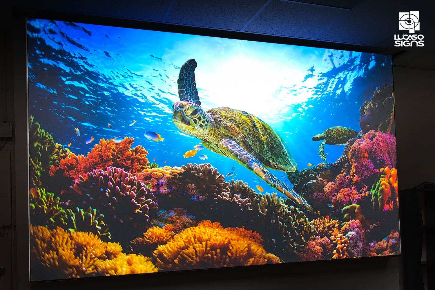 Illuminated custom channel letter sign reading "Custom Signs Channel Letters" by Lucaso Signs