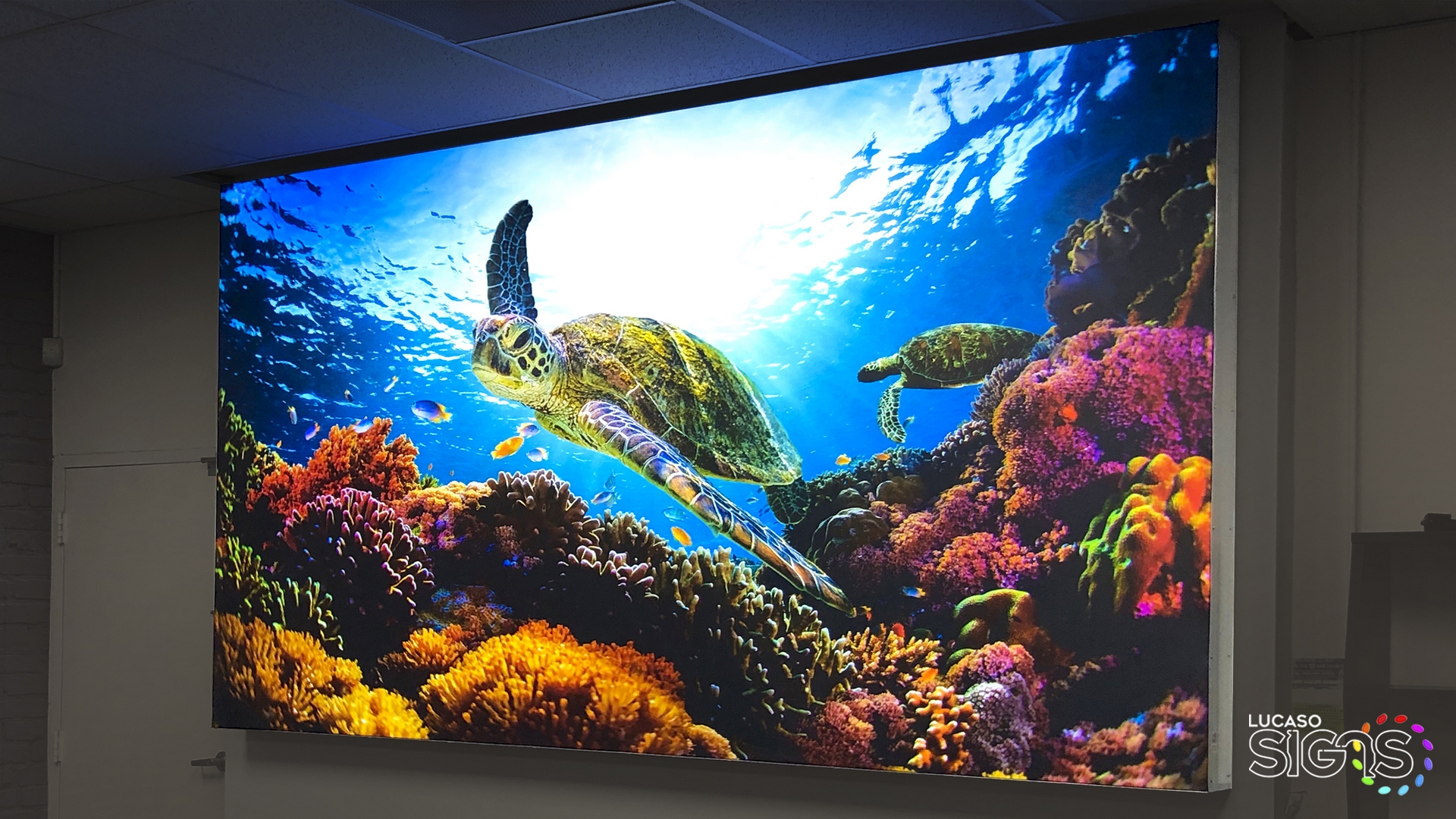 Custom Channel Letters Business Signs double light front and halo system by Lucaso Signs