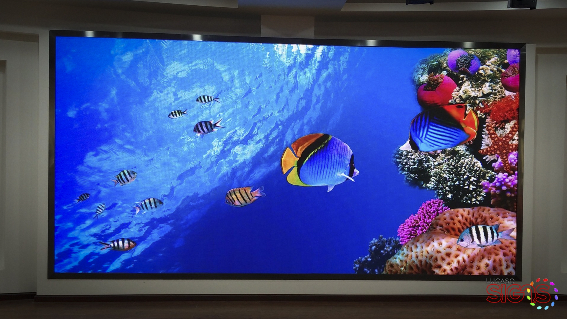 High-resolution indoor LED video wall display showing vivid underwater scene by Lucaso Signs.